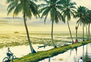 tourism packages to kerala