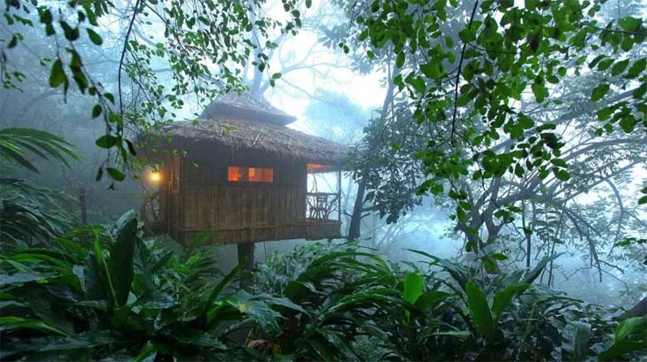 About Treehouse in Wayanad